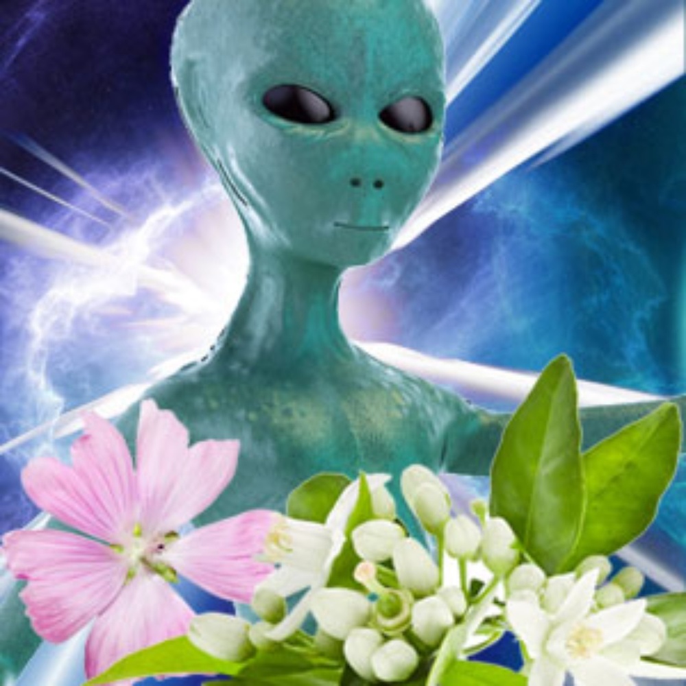 Alien Princess Hand Poured Soy (6.5oz) Candle